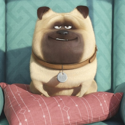 The Secret Life of Pets